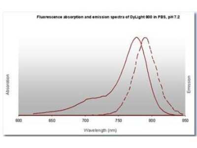 Fluorophore-linked immunosorbent assay: Goat anti-Rabbit IgG Fc Secondary Antibody [DyLight 800] [NBP1-72955] - Fluorescence absorption and emission spectra of Dylight 800 in PBS, pH 7.2.